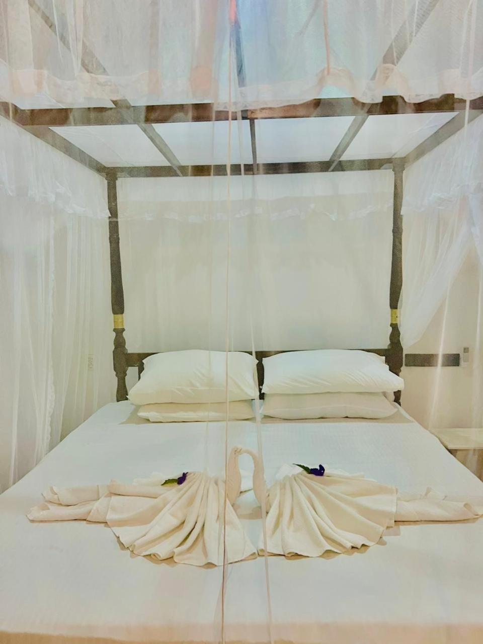 טנגלה Maritime Nest Cabanas מראה חיצוני תמונה
